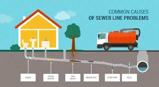 Discover the Common Causes of Sewer Line Problems with Air Services in Fair Grove, MO. Tree roots invading sewer lines, a frequent culprit for clogs and damages in plumbing systems.