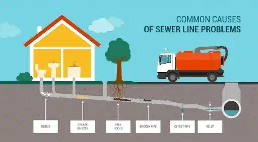 Discover the Common Causes of Sewer Line Problems with Air Services in Battlefield, MO. Tree roots invading sewer lines, a frequent culprit for clogs and damages in plumbing systems.